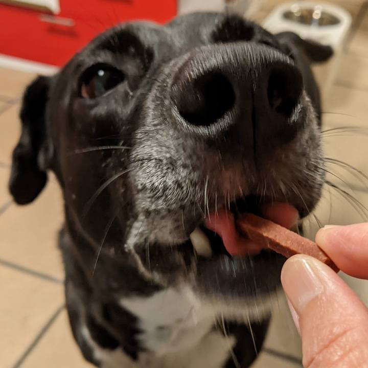 87bb1f84 ae73 4a6a 8e18 982cc3a95459 1663757312825