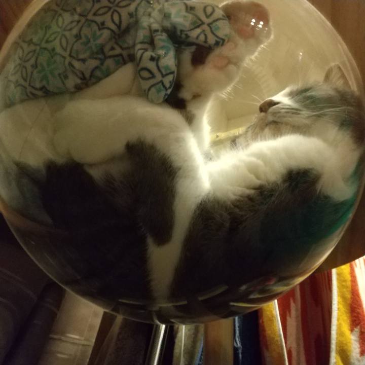 87bb472b 2be9 4c59 93e2 6950b0608a03 1625058040981