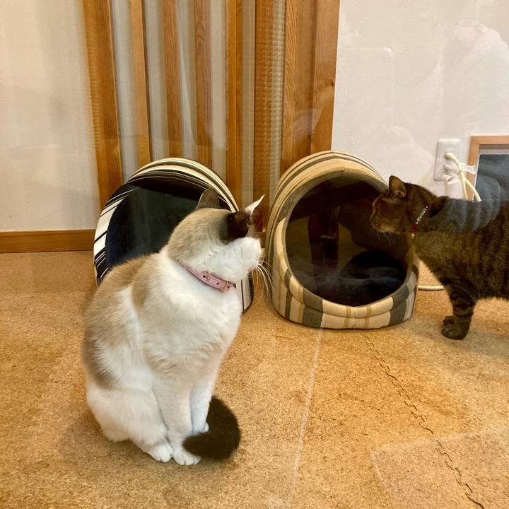 87bb50d7 3847 4d6e bf05 37d3f87476dc 1641899869383