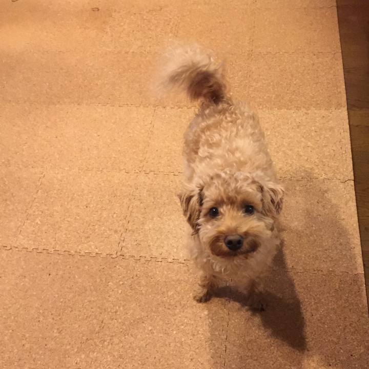 87bb6d7a b309 420d b3d2 f435cd37e81b 1514245077374