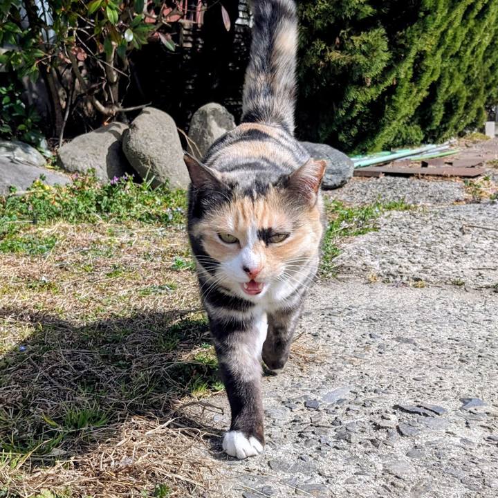 87bb8764 af65 48c3 9d67 207400367b9d 1771856868669