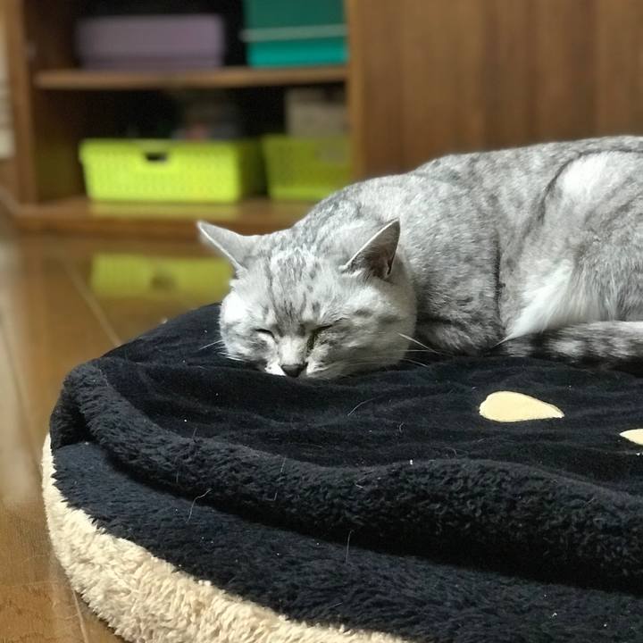 87bbcab5 63f7 4502 adf4 97c7d21266ab 1575975215216