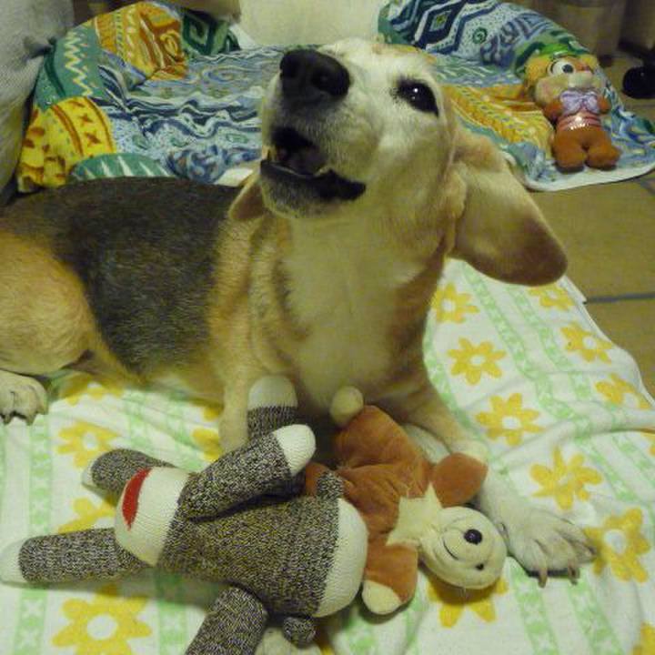 87bc236c b0ed 4904 ae6f 722930ff07f2 1696553738685