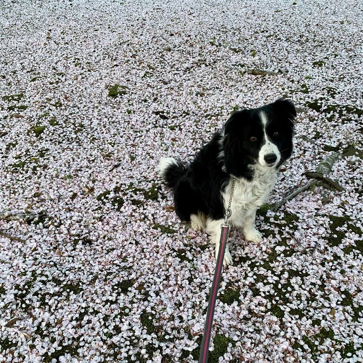 87bc4427 cd8c 4bf8 bfda 2680530ce72c 1616925246698