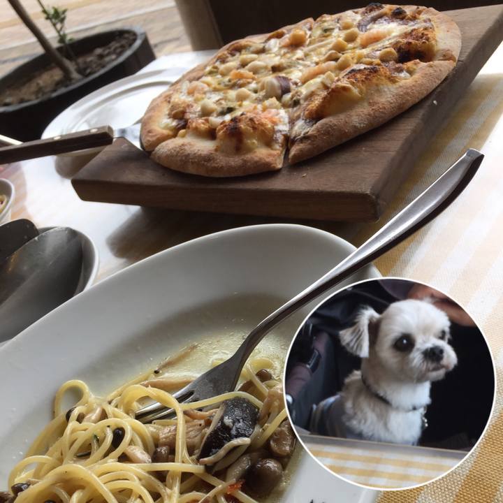 87bc48a2 86d0 4681 981c c97109a3f620 1538978331338