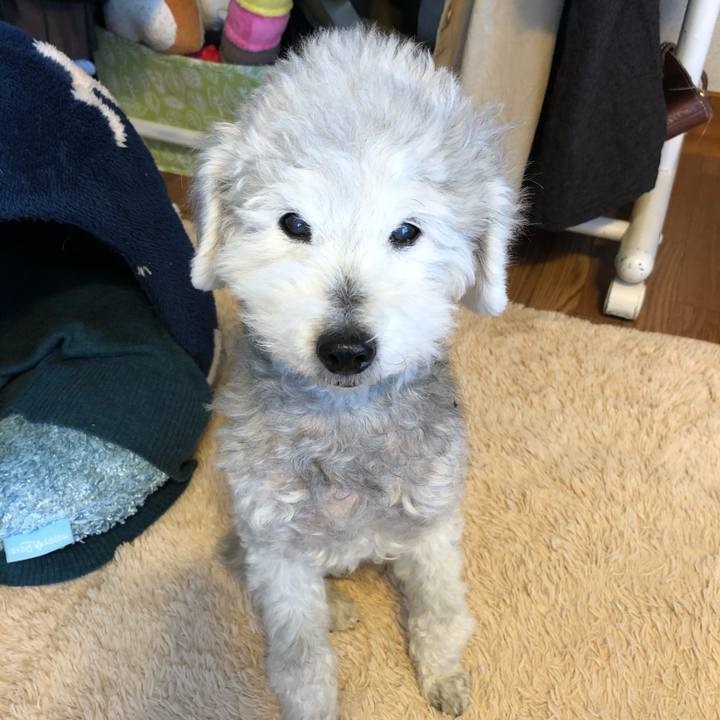 87bc6f20 2f3f 48ed b864 5d84c9fd036a 1617928398811