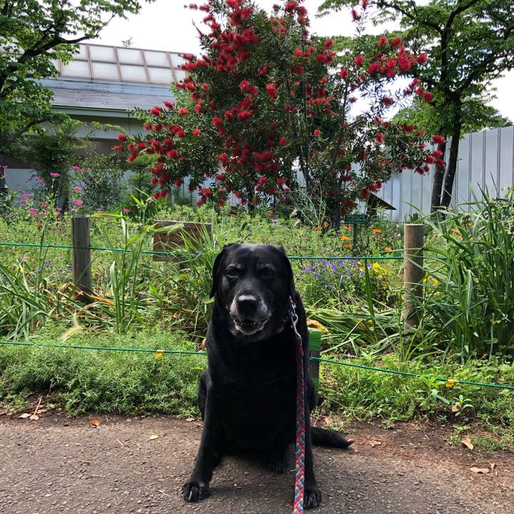 87bca14a af1c 4ff4 bbf8 bca67bf18823 1590221706935