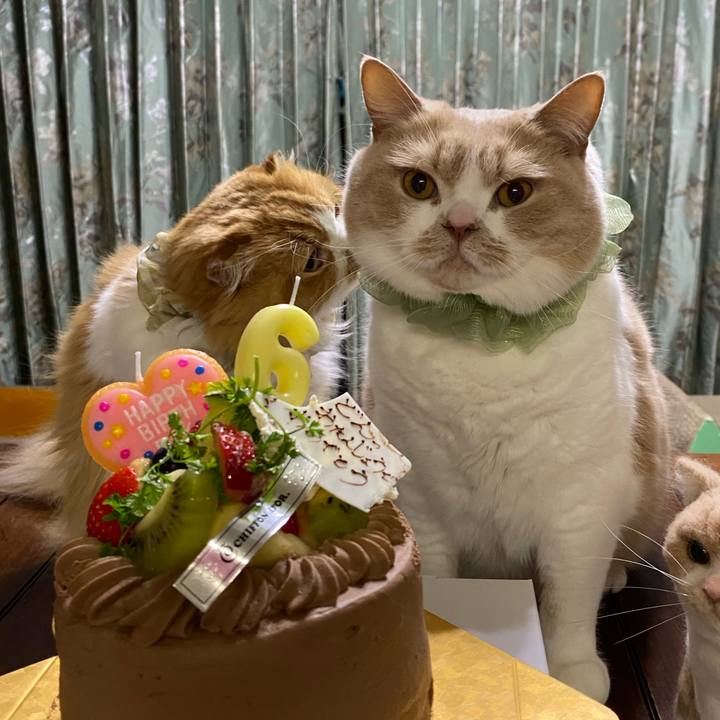 87bca50e 71a7 44fc af0d 1358279cba35 1646740390228