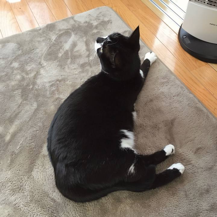 87bd0581 aa20 41aa 883e 4eb672d23c31 1768361200618