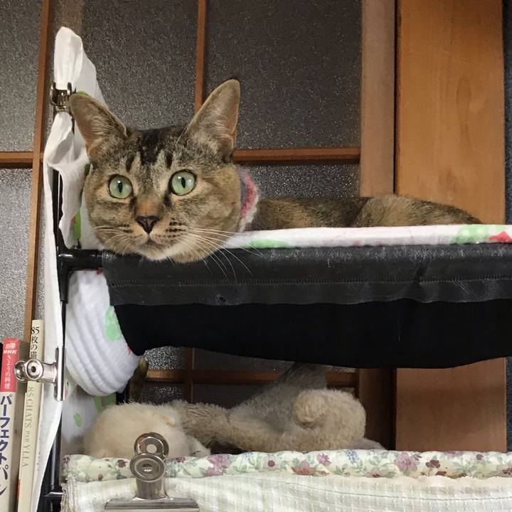 87bd1bcd 1816 484d b938 339cc1024715 1626243326201