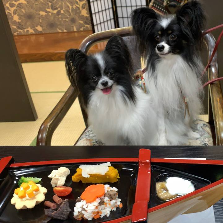 87bd1ded 7492 4004 ada4 76f26c7a1d3b 1570790483883