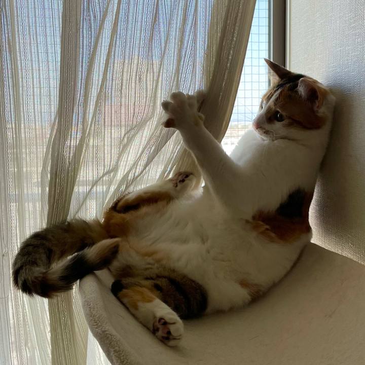 87bd35ac a19f 4ee4 8422 0511d11346d0 1618458091823