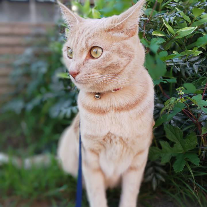 87bd780b eee1 435f 84a3 e59e68780c00 1565767490396