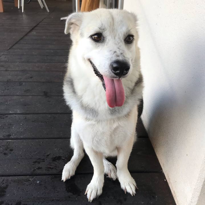 87bdc153 161b 4ac9 983c b3c0d9810f82 1564576767755