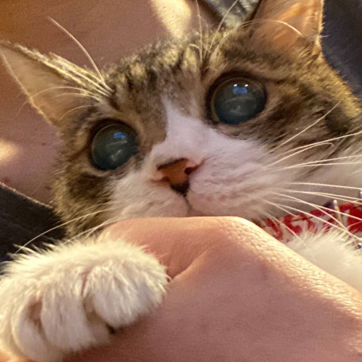 87bdc26d fb1e 4e90 a870 ea211bd9aec1 1582370068796