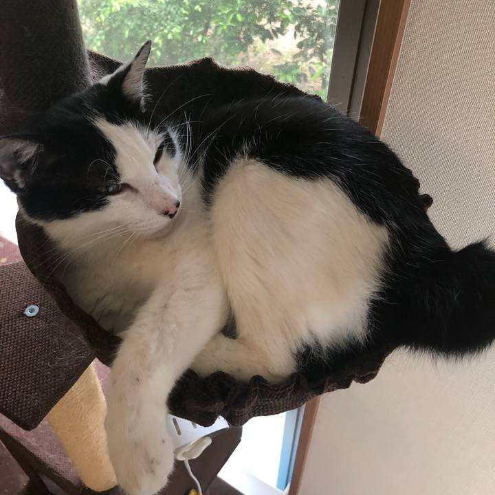 87bdd496 b75b 4bf0 8c72 67180e835ca9 1559292969269