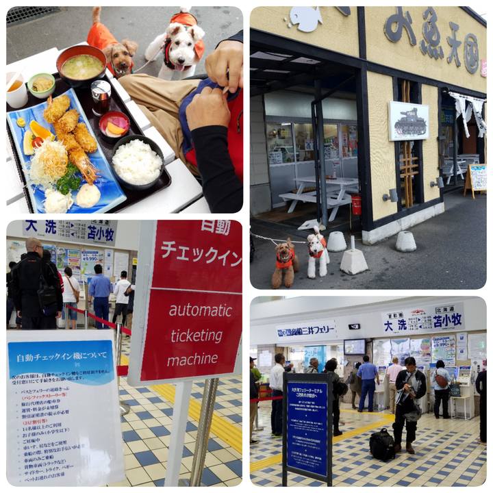 87be08c2 1df1 4e04 a0d2 65de31939380 1561793360049