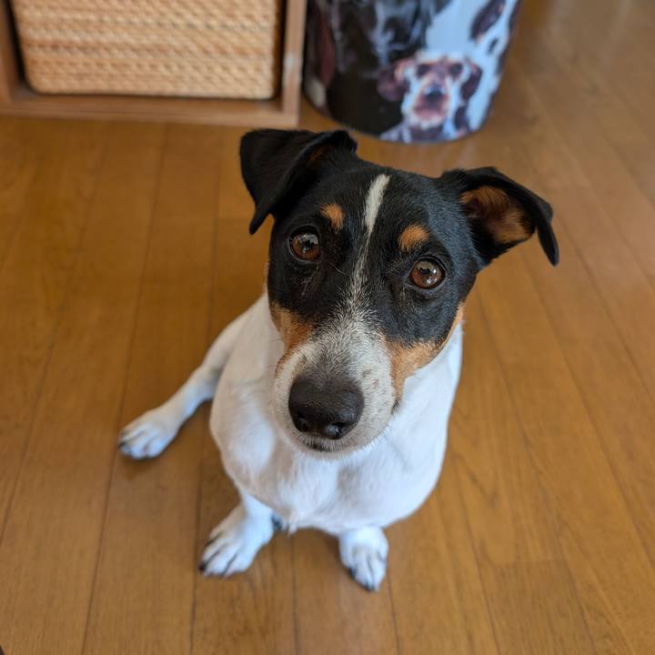 87be20e9 cb10 4e23 b495 15142645440d 1736684643372