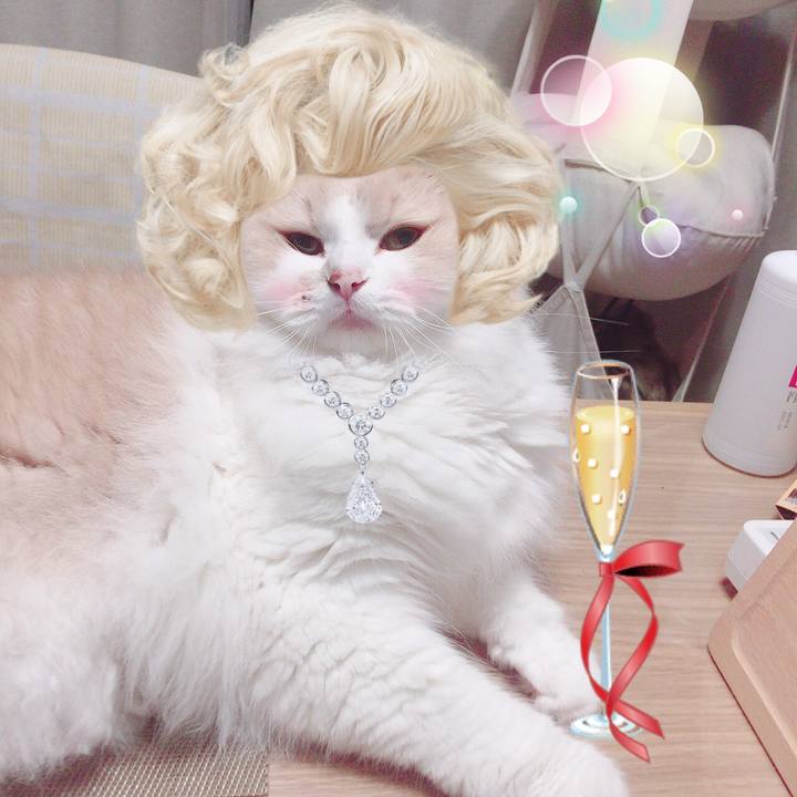 87be430f e00f 4c79 a9ae ba1850bc64da 1564321266857