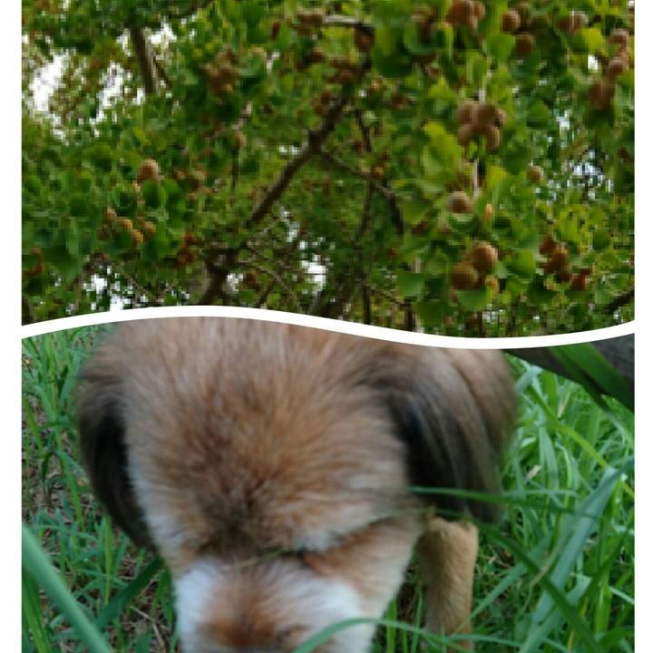 87be59b7 3701 4fb5 b2b4 164ecc61c20e 1536535772944