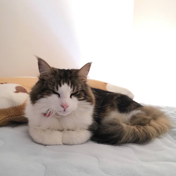 87be7369 1023 4696 aab5 64f4ce912c5d 1516804277535