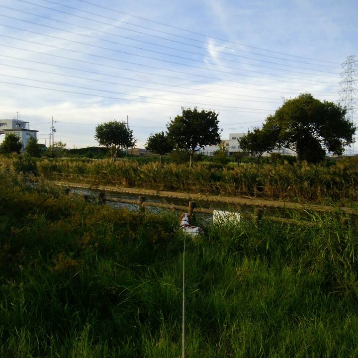 87be7e32 dd01 4b22 86f7 f3f7cd1c0fcd 1538728467026