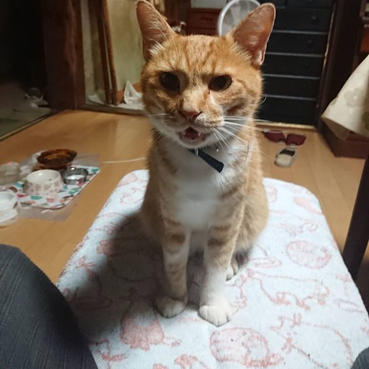 87be9996 c1fd 419f 9860 44281be2a4db 1597780442885