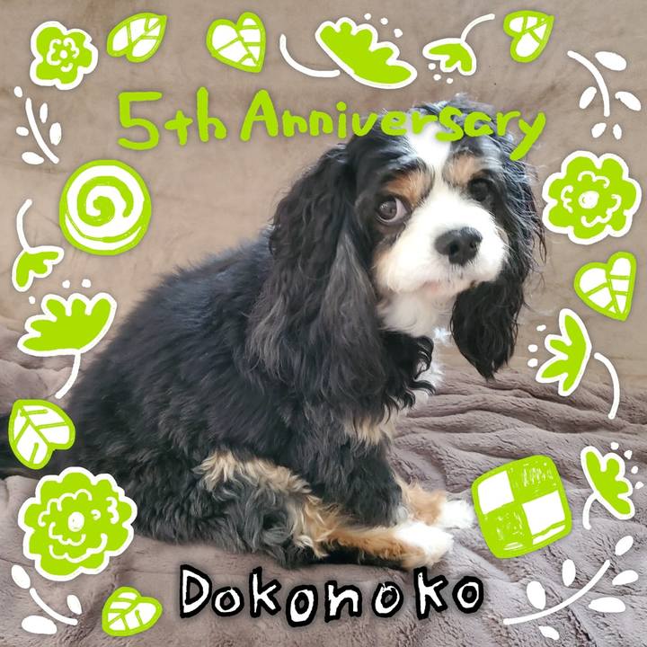 87bea48e 24c3 4c0e bfe5 ec572e0cac40 1623068397633