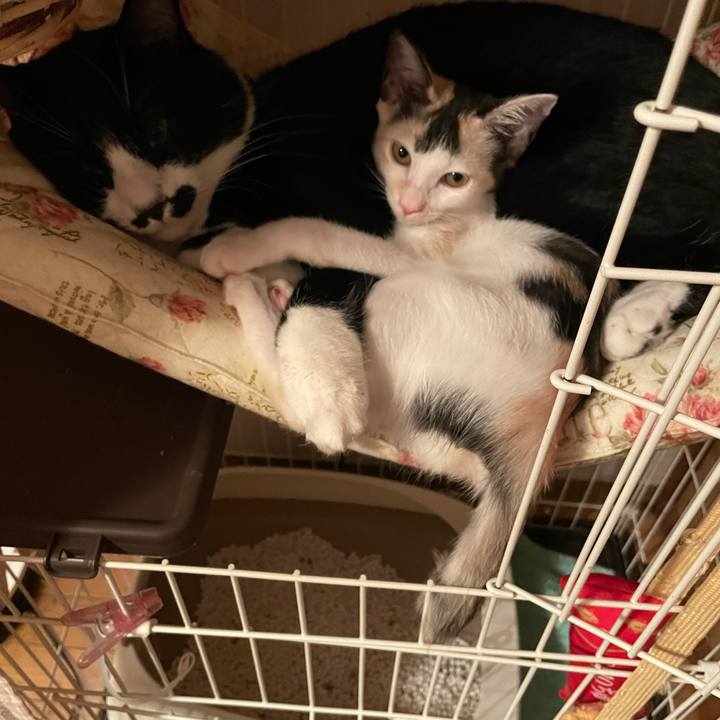 87bea8f9 1239 42c1 ad46 09bf213e5cbb 1661174037971