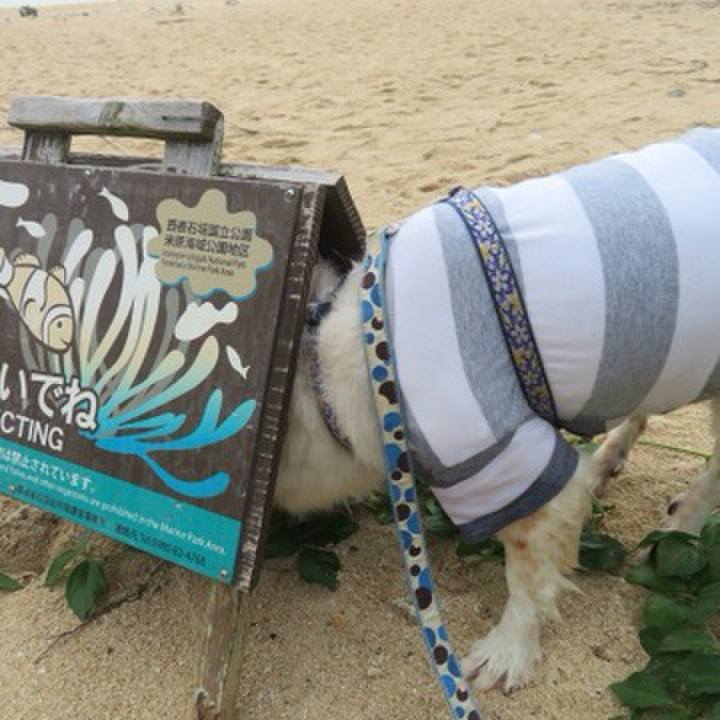 87beb9a2 5986 49d8 ad9d 092e08dab343 1608202017065