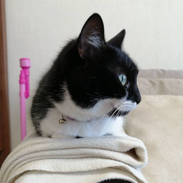 87bf0622 2471 4b86 81c9 d02296743570 1583575552639