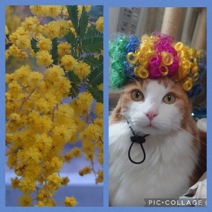 87bf075c aa44 46d6 b85a 7cc416d22c57 1646300535540