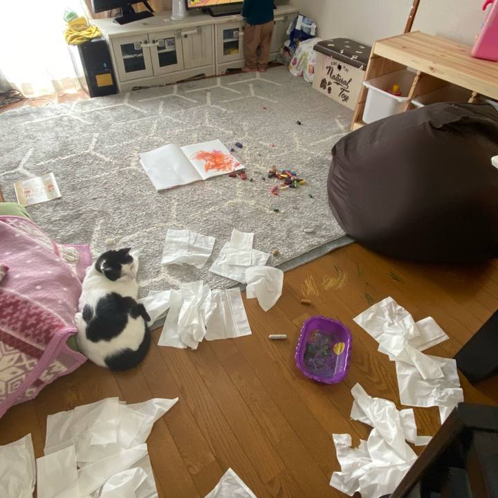 87bf187a c406 4ad8 912d b6da167bc51b 1648202105165