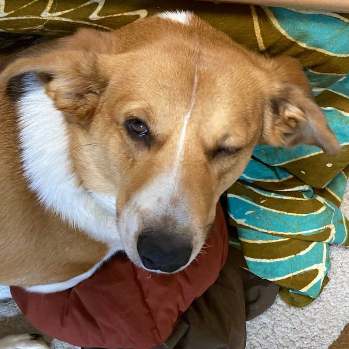 87bf2f73 cb4a 4cae 9aa9 aac6d495665a 1643295096818