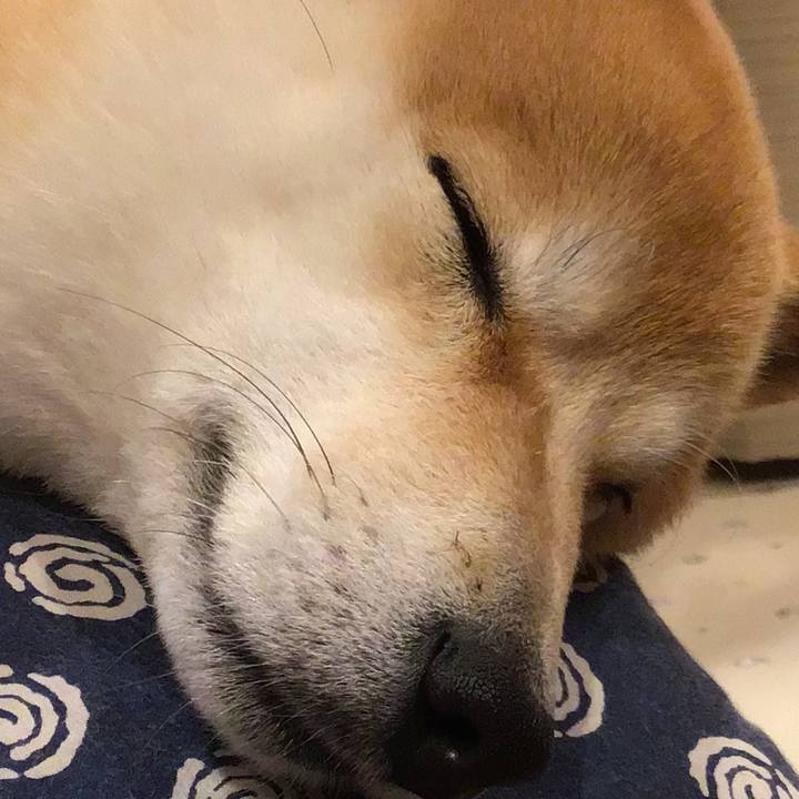 87bf51c1 1faf 4ff6 bdb8 ad7ca70c5e91 1642243170491