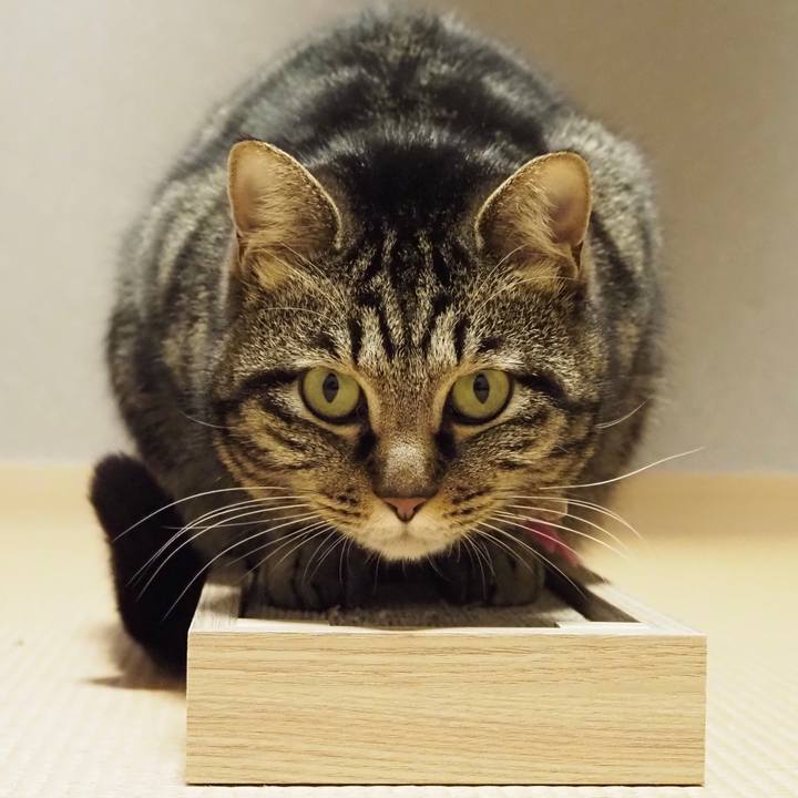 87bf5625 159e 446a b813 b2c27bd98e97 1615976214650