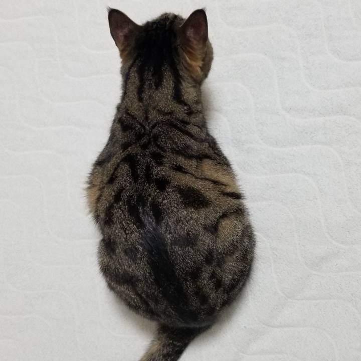 87bf592c 9e6e 4a76 b995 c258cc5af02e 1555982111361