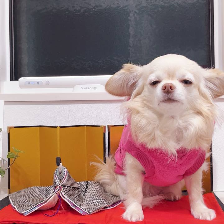 87bf7b2a 6db3 49ec be32 663d5b0c0cee 1740997769212