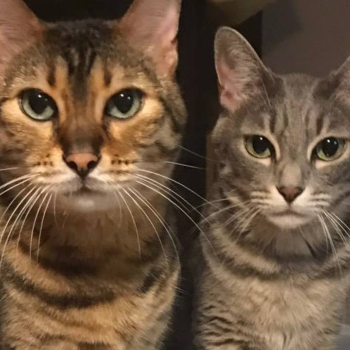 87bf7e15 0be7 4564 b5fb fb29bc190b0d 1564372794654