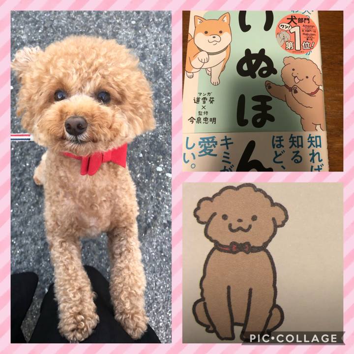 87bf999b 54aa 4d87 8b10 e02660792d30 1597790108059