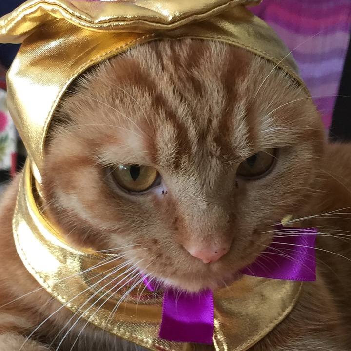 87bfa22b 6123 49ef a1fa 6f436e9d824b 1540009817602