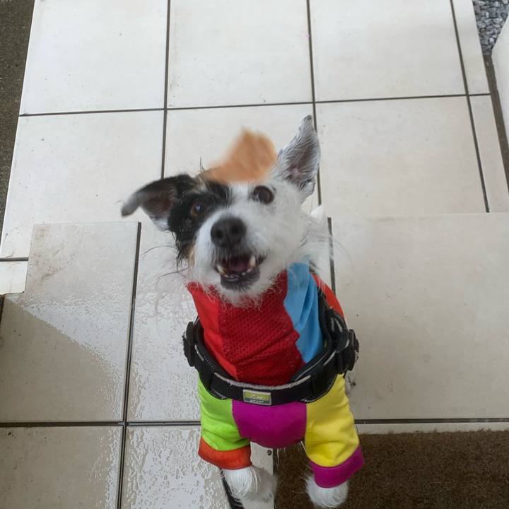 87bfaacd baec 4d89 a3b9 6df0375181d9 1745370828642