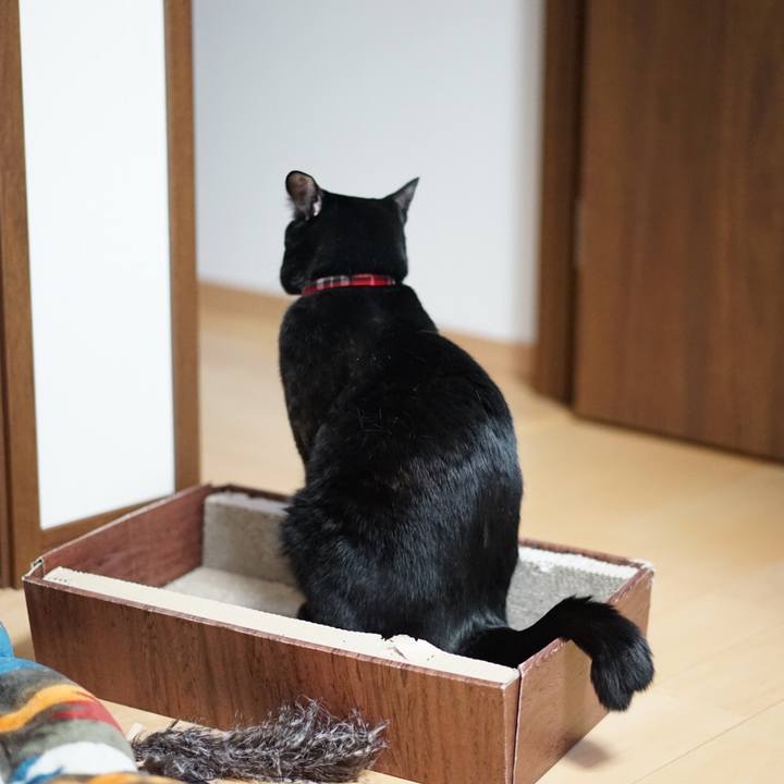 87bfe801 27ec 4824 bf31 f20938720dbf 1550803728249