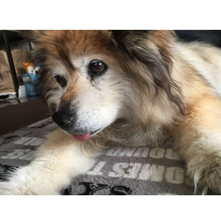 87bffaeb b5f1 4986 84b1 e95fa2d3b2af 1569520308351