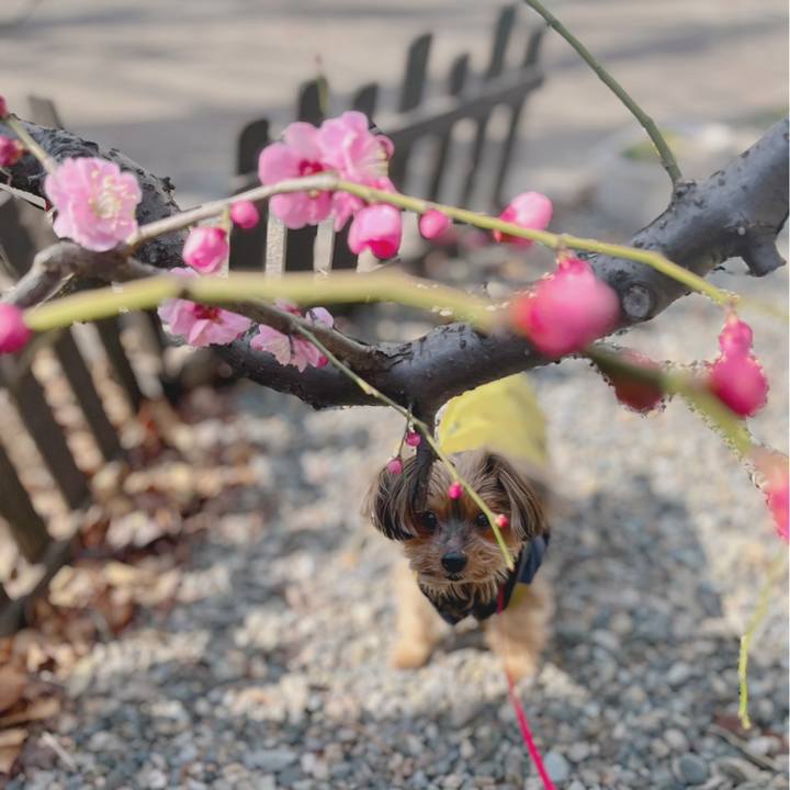 87c0422c 493e 44eb b5db 357077ed6f16 1645920704852