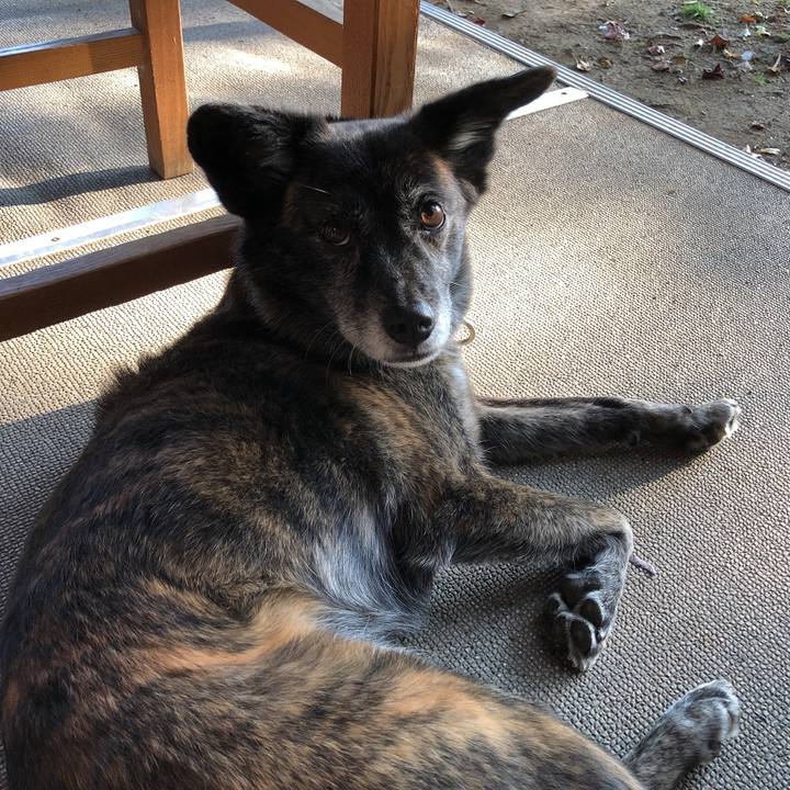 87c05749 cdb9 4885 ab0d 710d6dc901d8 1606261518731