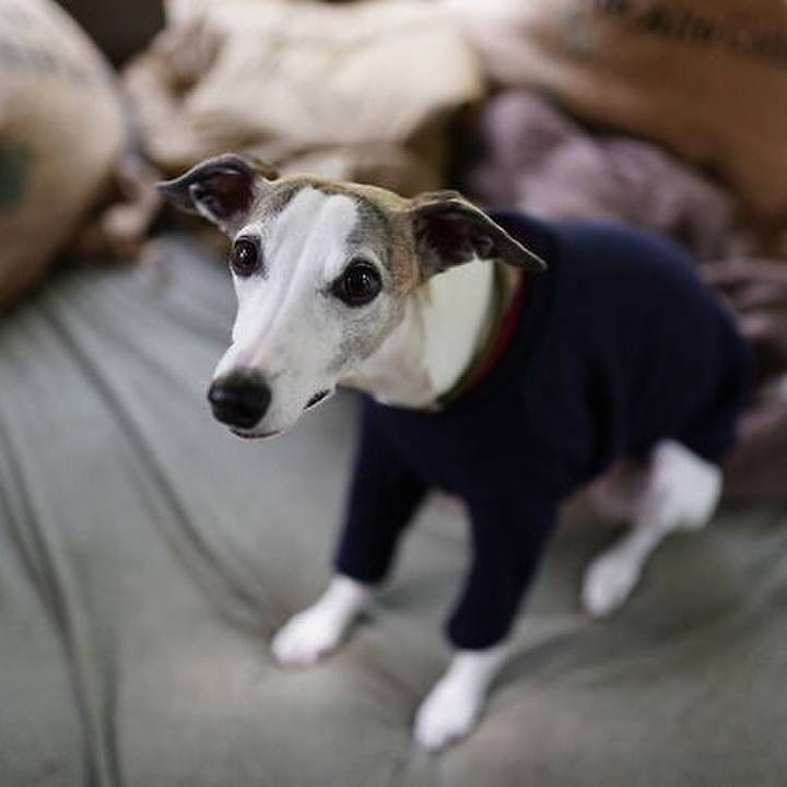 87c06aad 15bb 4d35 9731 3065dd5c3904 1529406742462