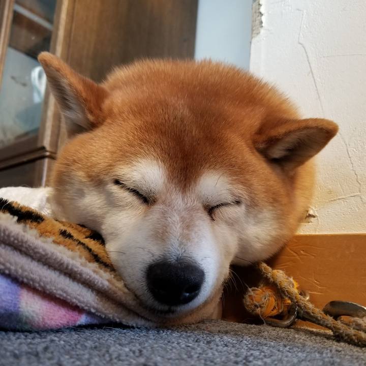 87c07e63 f3ef 41c9 ae84 4f601aaeb734 1549087868935