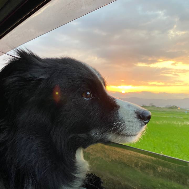 87c08562 c85c 4134 9bf0 c74dc50c440f 1594983862685