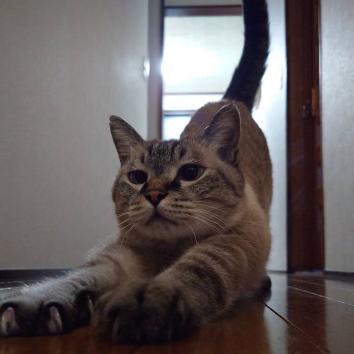 87c0a86a 8f1e 4ea7 b076 14021a9d39a0 1726401925662